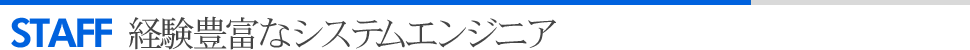 経験豊富なシステムエンジニア