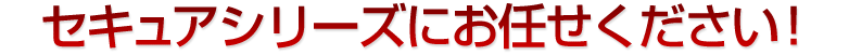 セキュアシリーズにお任せください!